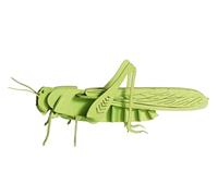 Fridolin Modello di carta 3D cavalletta