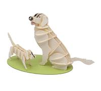 Fridolin Modello di carta 3D Golden Retriever