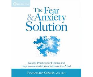 Friedemann Schaub - The Fear & Anxiety Solution