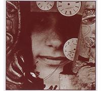 Friedman Ruthann - A Hurried Life