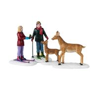 Friendly Wildlife Set Of 4 Cod. 42312