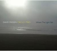 Friesen,David - Where the Light Falls