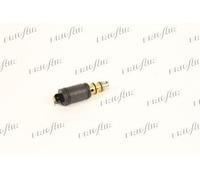 FRIGAIR 521.80006 Valvola limita-pressione