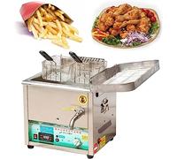 Friggitrice a gas commerciale, friggitrice da banco in acciaio inox con cestello, perfetta per patatine fritte, cucina di casa, ristorante, cucina all'aperto
