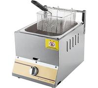 Friggitrice a gas da banco professionale da 10 l/20 l con cestello e coperchio, friggitrice a gas, friggitrice per patatine fritte di pollo, friggitrice a gas per cucina di ristoranti (10 l + 1 c