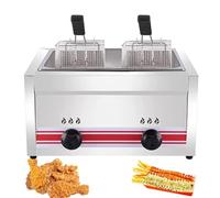 Friggitrice commerciale in acciaio inox GPL con controllo della temperatura, design autoportante da tavolo, include cestello rimovibile, doppio cilindro