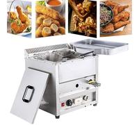 Friggitrice in acciaio inox, grande capacità alimentata a gas GPL, include cestino e coperchio, perfetta per ristoranti e cucina casalinga