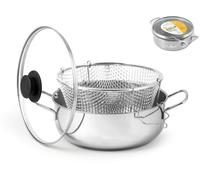 Friggitrice Royal Norfolk con coperchio in vetro e cestello Cm 24