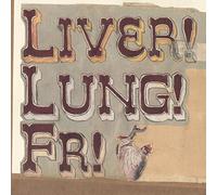 Frightened Rabbit - Quietly Now