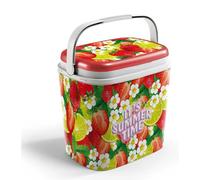 Frigo Passivo 27 Litri Grafica Fragola Adriatic 9727/F