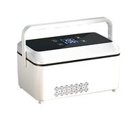 Frigo per insulina Frigorifero per auto Raffreddatore per insulina di emergenza 2-8°C Frigo Scatola di raffreddamento per farmaci per la casa Raffreddatore portatile per farmaci da viaggio p