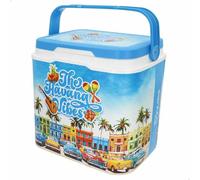 Colorbaby Rigid Plastic Refrigerator Summer Trends 24l Blu