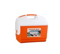 Frigo Portatile con Maniglia Mobile Ghiacciaia con Coperchio senza Corrente