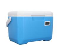 Frigo Portatile Isolato da 6 Litri, Freschezza 48-72 Ore, Ghiacciaia per Latte Materno con Termometro, Isolamento in Schiuma PP e PU, Maniglia Antiscivolo, Frigorifero Rigido per