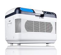 Frigorifero per auto 12V/24V/110-220V, frigorifero elettrico portatile, piccolo 12L, funzione caldo e freddo (-10℃~65℃), per bevande, vino, frutti di mare, frutta, casa e viaggi, 220V