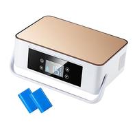 Frigorifero per auto, mini refrigeratore per insulina, custodia da viaggio, frigorifero per medicinali USB, frigorifero portatile per insulina con maniglia, mantiene il raffreddamento a 2-8