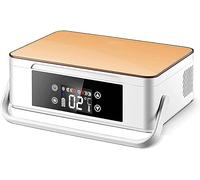 Frigorifero per auto, refrigeratore portatile per insulina, 2-8 °C, custodia da viaggio per medicinali, batteria ricaricabile da 8 ore, mini refrigeratore per medicinali, trasporto in auto