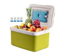 Frigorifero rigido, refrigeratore per pasti rigidi, isolato con manico, capacità 15 l, accessorio per rinfrescarsi per bevande, campeggio, barbecue, pic-nic, attività all'aperto