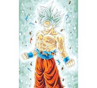 Frikiverso Placca decorativa Goku Ultra Instinto Metallico Quadro Poster HD