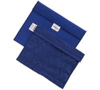 FRIO - Custodia termica per insulina, 21 x 15 cm, colore Blu (Blue)
