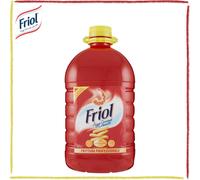Friol Olio di Semi per Frittura Professionale per Cucine Ristoranti Pub 5Lt