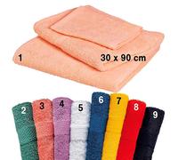 Fripac-Medis Cabinet Terry Energy Saving Towel Blu (6)