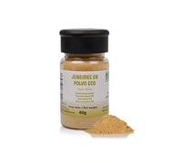 FRISAFRAN | Polvere di zenzero BIO 40g | Digestivo | Fonte di energia | Cibo naturale | disidratato senza zucchero | Zenzero-secco | In polvere | zenzero-macinato | Origine India