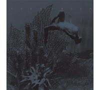 Frith Fred - Eye To Ear Iii