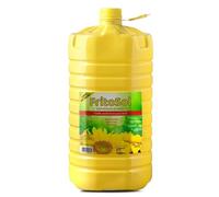 FritoSol Olio di Semi Raffinato per Fritture Professionali, 10 Litri