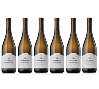 Friulano Collio doc 2024 Plessiva 6 bott. x 0,75 L Isidoro Polencic