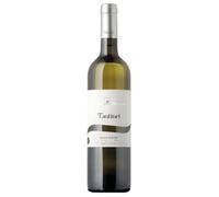 Friuli Grave DOC Borgo Tesis Sauvignon Fantinel 2024, 0,75 ℓ