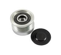 INA Ruota libera alternatore (OAP) 535022110 per ABARTH 500C/595C/695C 1.4 (2008-)