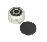 INA Dispositivo ruota libera alternatore 535 0340 10 per VW, Audi, Touareg (7P5) 2011-2014