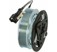 Frizione Del Compressore Ac