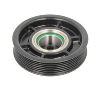 THERMOTEC KTT040146 Puleggia compressore aria condizionata