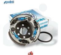 FRIZIONE POLINI 3G EVO REGOLABILE ø107 MINARELLI ORIZZONTALE E VERTICALE 249.062