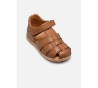 Froddo - DANY Marrone - Sandali e scarpe aperte 20 Marrone