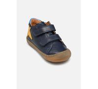 Froddo - Ollie star Blu - Stivaletti e tronchetti 20 Blu