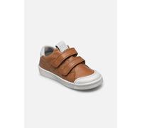 Froddo - Rosario Velcro Marrone - Sneakers 22 Marrone