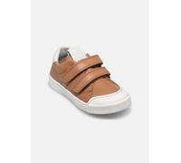 Froddo - Rosario Velcro Marrone - Sneakers 29 Marrone