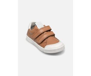 Froddo - Rosario Velcro Marrone - Sneakers 29 Marrone