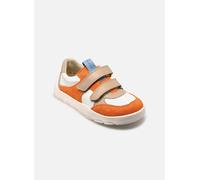 Froddo - ZERU SPRING BAREFOOT Multicolore - Sneakers 32 Multicolore