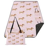 FRODOTGV Lake Day Essentials - Coperte da campeggio e spiaggia, impermeabili, a prova di sabbia, per attività all'aperto, per coppie, 152 x 203 cm