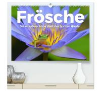 Frösche - Die wunderschöne Welt der bunten Hüpfer. (hochwertiger Premium Wandkalender 2026 DIN A2 quer), Kunstdruck in Hochglanz: Tauchen Sie in die kunterbunte Welt der Frösche.