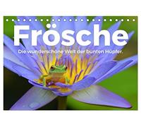 Frösche - Die wunderschöne Welt der bunten Hüpfer. (Tischkalender 2026 DIN A5 quer), CALVENDO Monatskalender: Tauchen Sie in die kunterbunte Welt der Frösche.