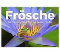 Frösche - Die wunderschöne Welt der bunten Hüpfer. (Wandkalender 2026 DIN A2 quer), CALVENDO Monatskalender: Tauchen Sie in die kunterbunte Welt der Frösche.