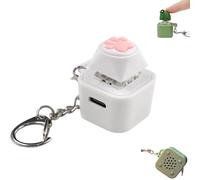 Frog Croaking Fidget Toy,Frog Keychain with Sound Croaking,Keyboard Fidget Clicker Toy with Colorful Lights,Fun & Portable Anxiety Relief Toys (Cat Meows,OWE)
