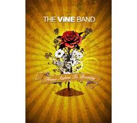 From Ashes To Beauty (DVD)