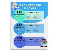 From Breast Milk to Solids Poster Feeding Stages and Nutrition Chart Canvas Print for Pediatric Office Decor(Framed,12x18inch(30x45cm))