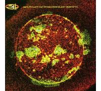 From Chaos by 311